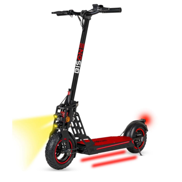 Bison E 800W– EcoXtrem