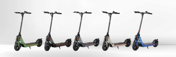 Bison E 800W– EcoXtrem