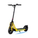 Bison E 800W– EcoXtrem