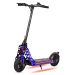 Bison E 800W– EcoXtrem