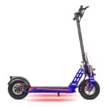 Bison E 800W– EcoXtrem