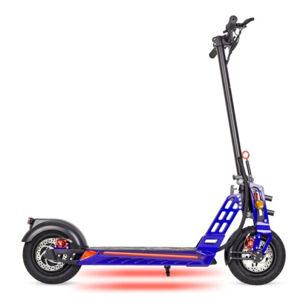 Bison E 800W– EcoXtrem