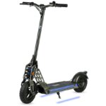 Bison E 800W– EcoXtrem