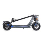 Bison E 800W– EcoXtrem