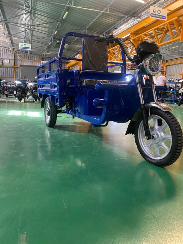 Triporteur LJ Lithium 105 ah