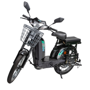 scooter électrique BLW 450