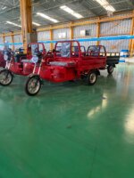 Triporteur LJ Lithium 100 ah