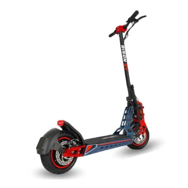 Bison GT 1000W - EcoXtrem
