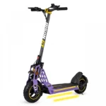 Bison GT 1000W - EcoXtrem