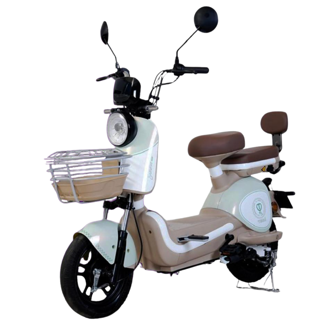 scooter électrique Tailg Vega
