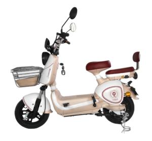 scooter électrique Tailg Vega