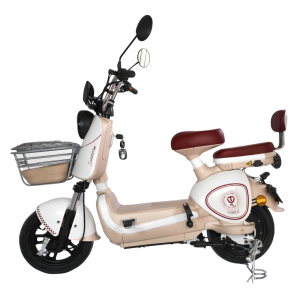 scooter électrique Tailg Vega